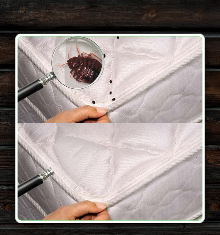 BedGuard – без клопів